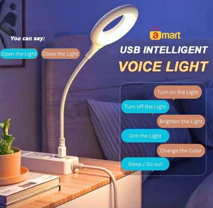 Voice Control Smart Light